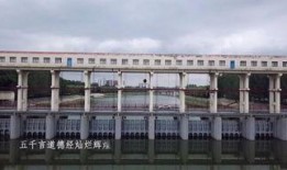 鹿邑最新爆料,揭秘神秘事件背后的真相